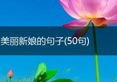 美丽新娘的句子(50句)