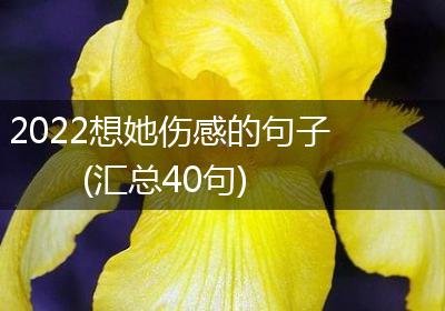 2022想她伤感的句子(汇总40句)