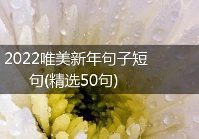2022唯美新年句子短句(精选50句)
