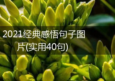 2021经典感悟句子图片(实用40句)