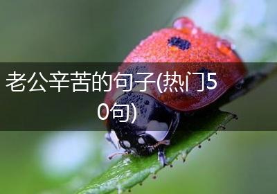 老公辛苦的句子(热门50句)