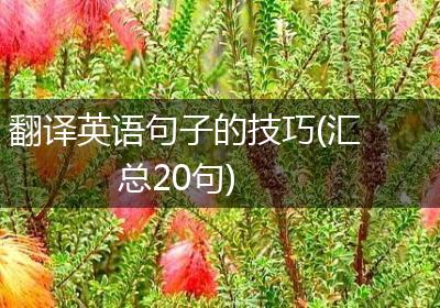 翻译英语句子的技巧(汇总20句)