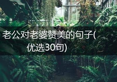 老公对老婆赞美的句子(优选30句)