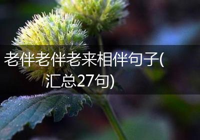 老伴老伴老来相伴句子(汇总27句)