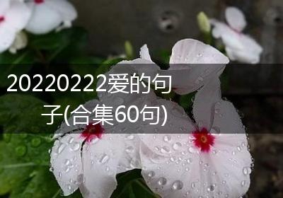 20220222爱的句子(合集60句)