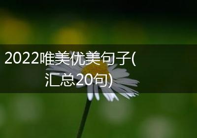 2022唯美优美句子(汇总20句)