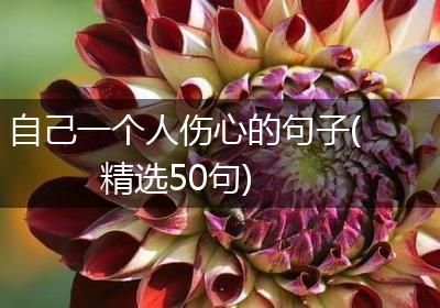 自己一个人伤心的句子(精选50句)