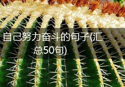 自己努力奋斗的句子(汇总50句)