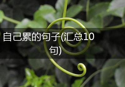 自己累的句子(汇总10句)