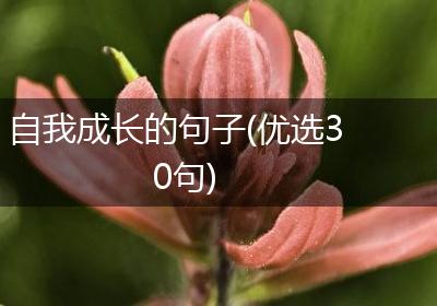 自我成长的句子(优选30句)