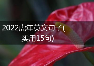 2022虎年英文句子(实用15句)