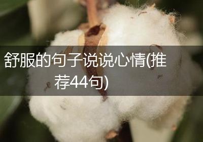 舒服的句子说说心情(推荐44句)