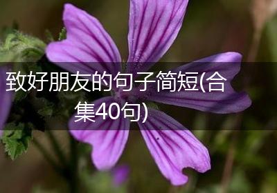 致好朋友的句子简短(合集40句)