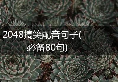 2048搞笑配音句子(必备80句)