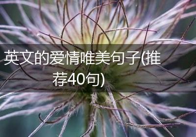 英文的爱情唯美句子(推荐40句)