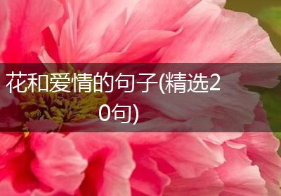 花和爱情的句子(精选20句)