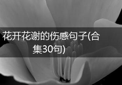花开花谢的伤感句子(合集30句)