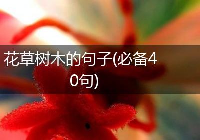 花草树木的句子(必备40句)
