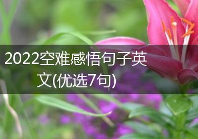 2022空难感悟句子英文(优选7句)