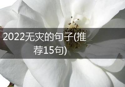2022无灾的句子(推荐15句)