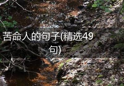 苦命人的句子(精选49句)