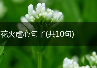 花火虐心句子(共10句)