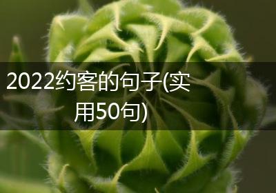 2022约客的句子(实用50句)