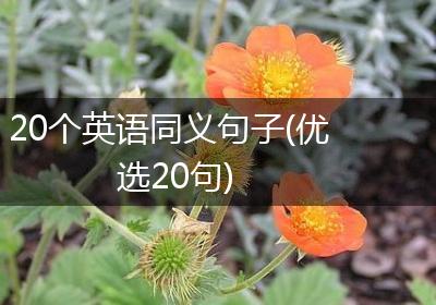 20个英语同义句子(优选20句)