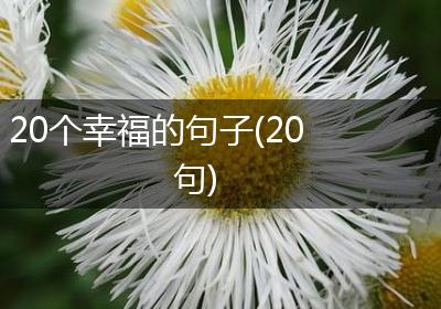 20个幸福的句子(20句)