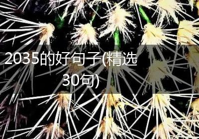 2035的好句子(精选30句)
