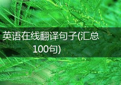 英语在线翻译句子(汇总100句)