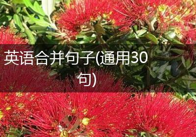 英语合并句子(通用30句)
