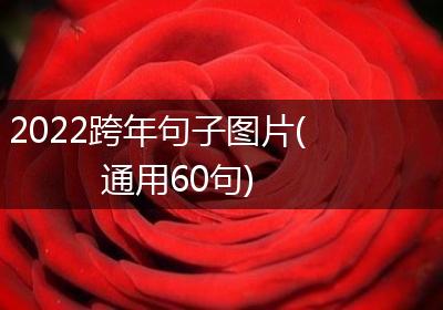 2022跨年句子图片(通用60句)