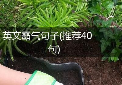 英文霸气句子(推荐40句)