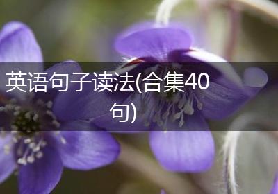 英语句子读法(合集40句)