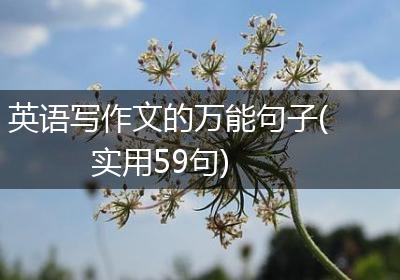 英语写作文的万能句子(实用59句)