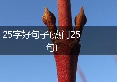 25字好句子(热门25句)