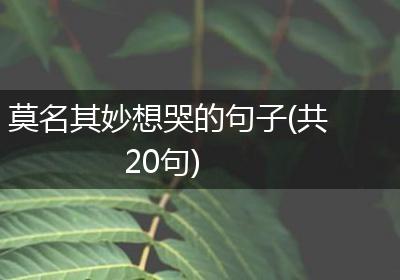 莫名其妙想哭的句子(共20句)