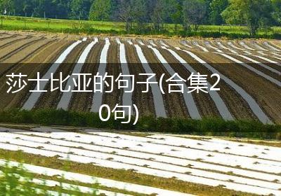 莎士比亚的句子(合集20句)