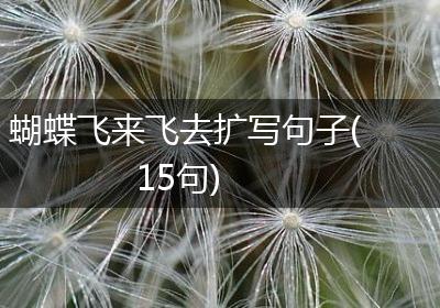 蝴蝶飞来飞去扩写句子(15句)