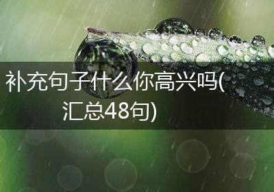 补充句子什么你高兴吗(汇总48句)