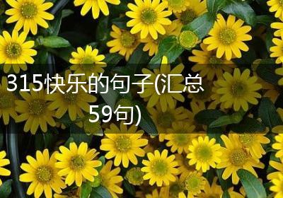 315快乐的句子(汇总59句)