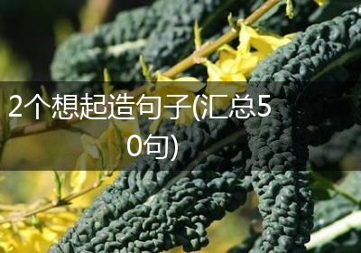 2个想起造句子(汇总50句)