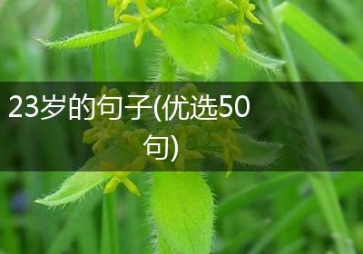 23岁的句子(优选50句)