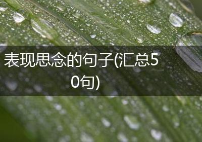 表现思念的句子(汇总50句)
