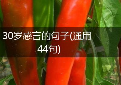 30岁感言的句子(通用44句)