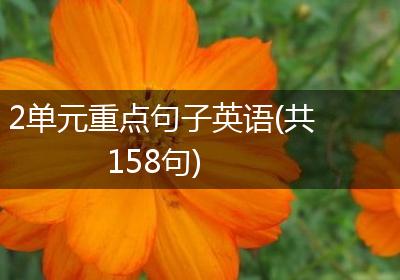 2单元重点句子英语(共158句)