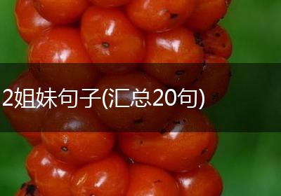 2姐妹句子(汇总20句)