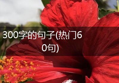 300字的句子(热门60句)