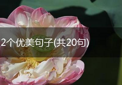 2个优美句子(共20句)